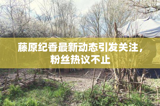 藤原纪香最新动态引发关注，粉丝热议不止