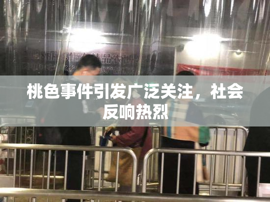 桃色事件引发广泛关注，社会反响热烈