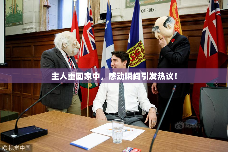 主人重回家中，感动瞬间引发热议！