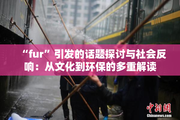 “fur”引发的话题探讨与社会反响：从文化到环保的多重解读