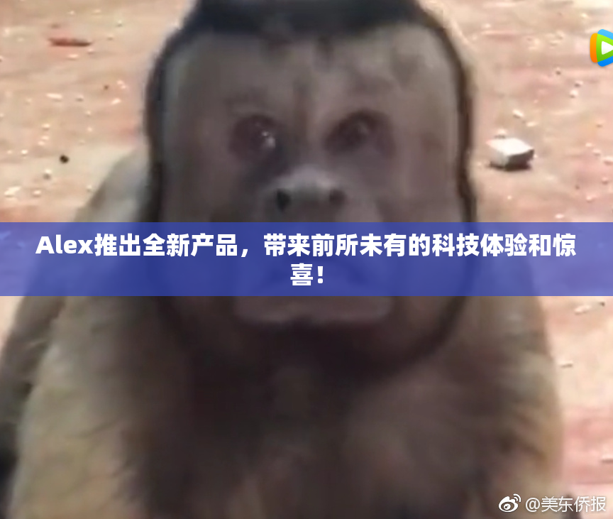 Alex推出全新产品，带来前所未有的科技体验和惊喜！