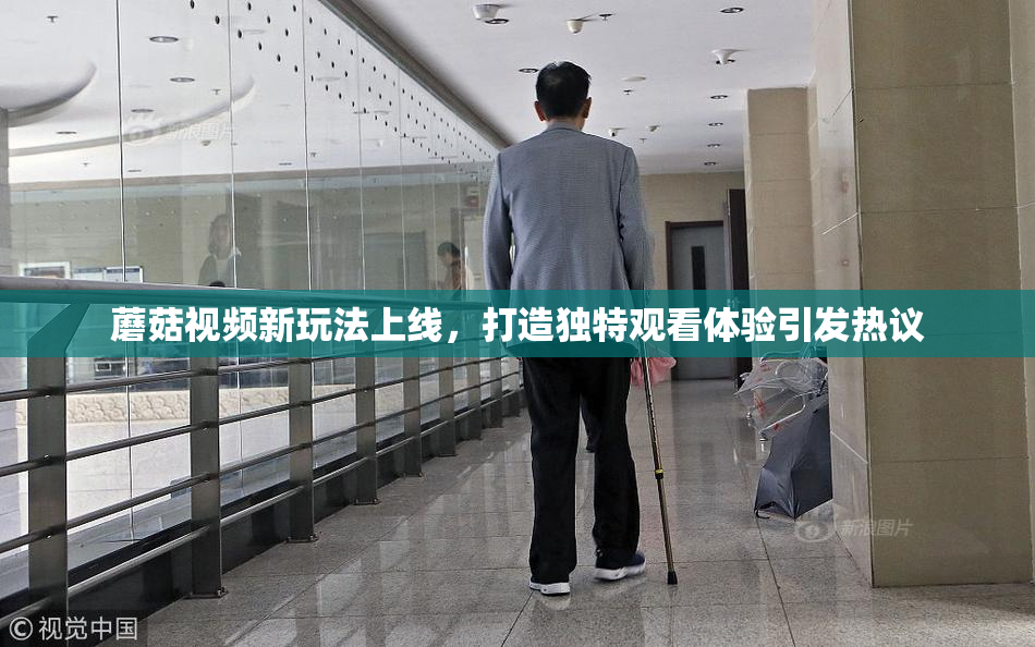 蘑菇视频新玩法上线，打造独特观看体验引发热议