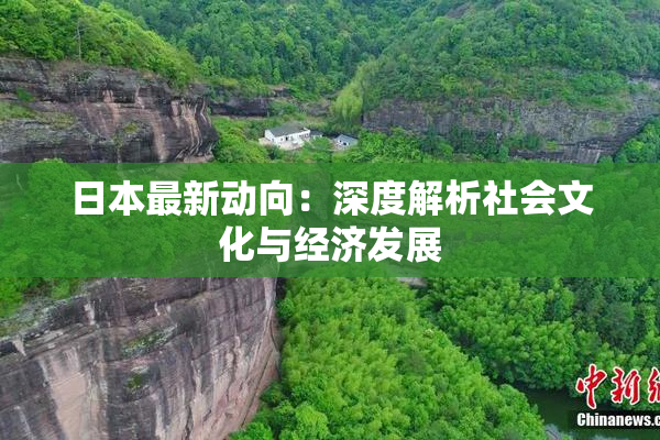 日本最新动向：深度解析社会文化与经济发展