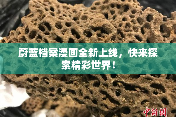 蔚蓝档案漫画全新上线，快来探索精彩世界！