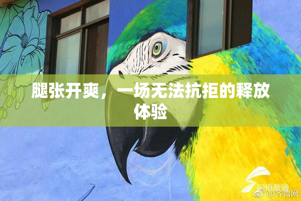 腿张开爽，一场无法抗拒的释放体验