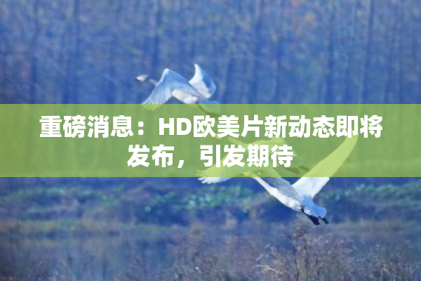 重磅消息：HD欧美片新动态即将发布，引发期待