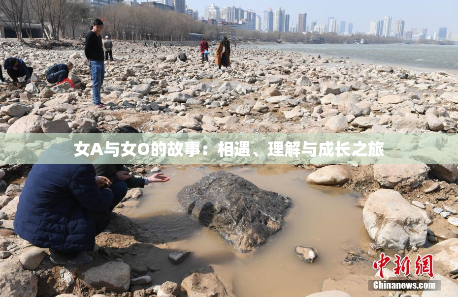 女A与女O的故事：相遇、理解与成长之旅