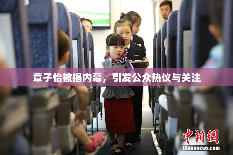 章子怡被揭内幕，引发公众热议与关注