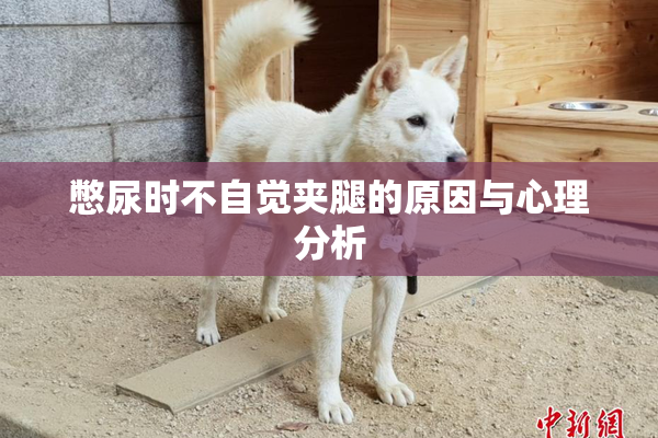 憋尿时不自觉夹腿的原因与心理分析