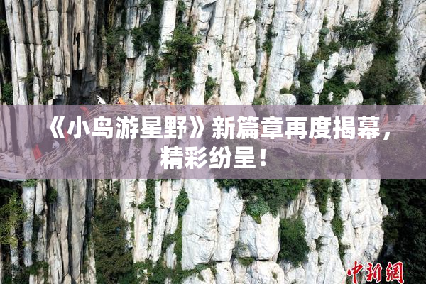《小鸟游星野》新篇章再度揭幕，精彩纷呈！