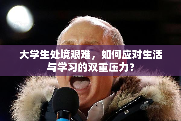 大学生处境艰难，如何应对生活与学习的双重压力？