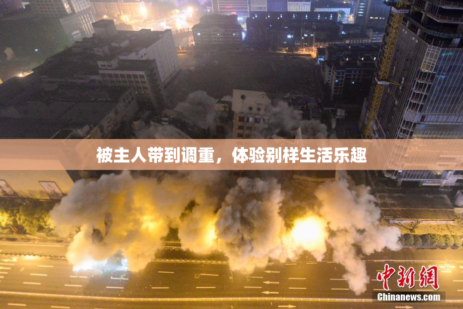 被主人带到调重，体验别样生活乐趣