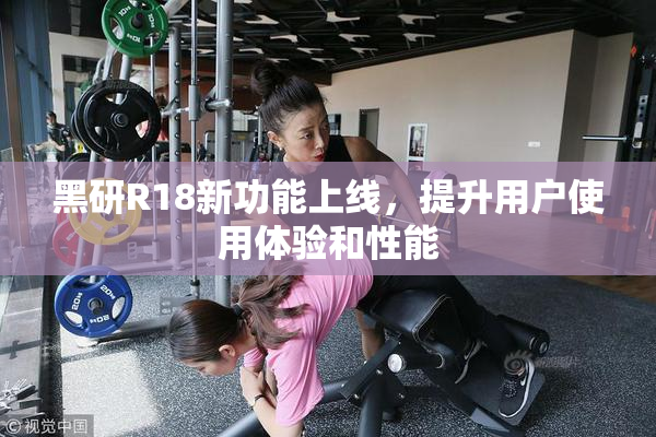 黑研R18新功能上线，提升用户使用体验和性能