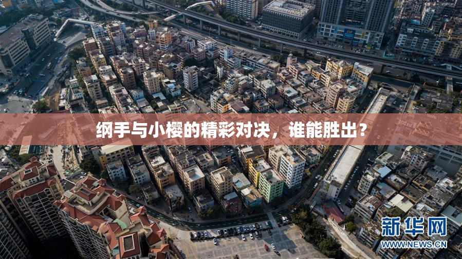纲手与小樱的精彩对决，谁能胜出？