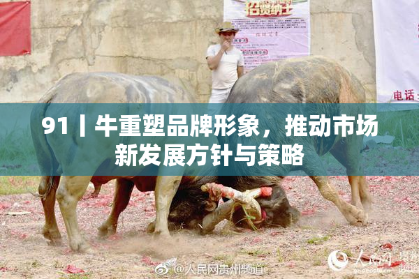 91丨牛重塑品牌形象，推动市场新发展方针与策略