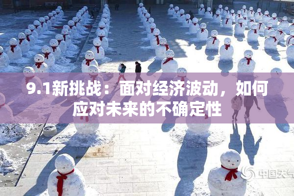 9.1新挑战：面对经济波动，如何应对未来的不确定性