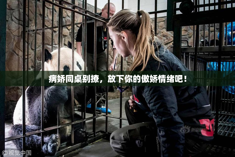 病娇同桌别撩，放下你的傲娇情绪吧！