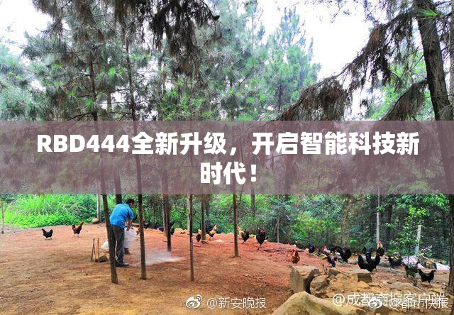 RBD444全新升级，开启智能科技新时代！