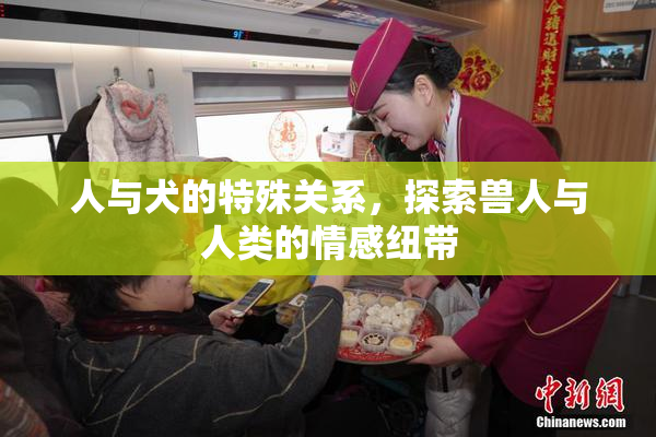 人与犬的特殊关系，探索兽人与人类的情感纽带