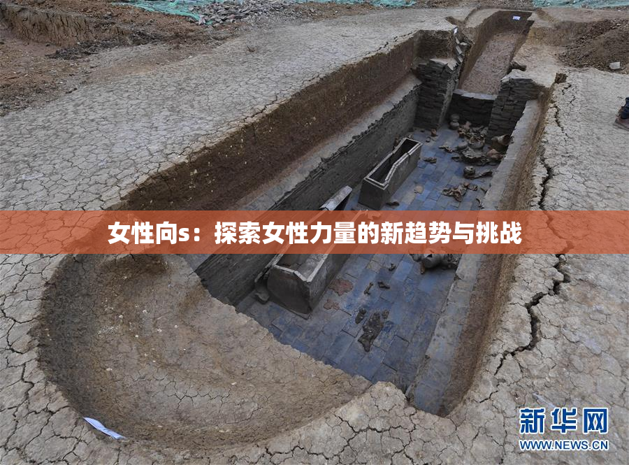 女性向s：探索女性力量的新趋势与挑战