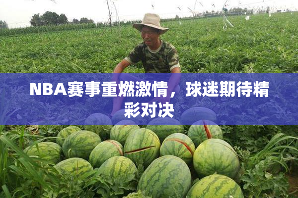 NBA赛事重燃激情，球迷期待精彩对决