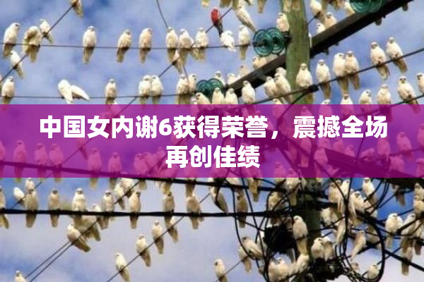 中国女内谢6获得荣誉，震撼全场再创佳绩