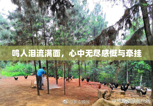 鸣人泪流满面，心中无尽感慨与牵挂
