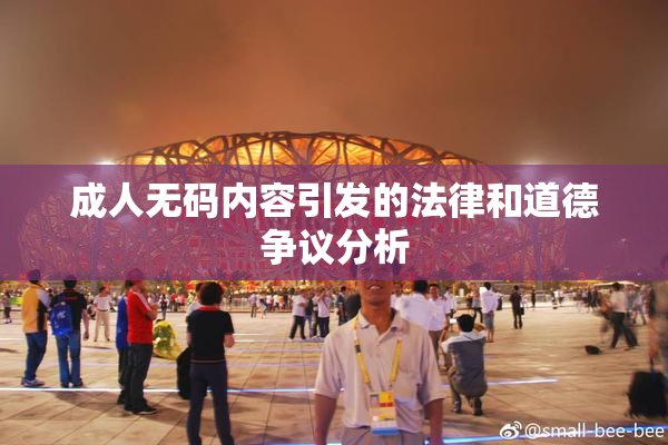 成人无码内容引发的法律和道德争议分析