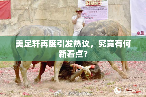 美足轩再度引发热议，究竟有何新看点？