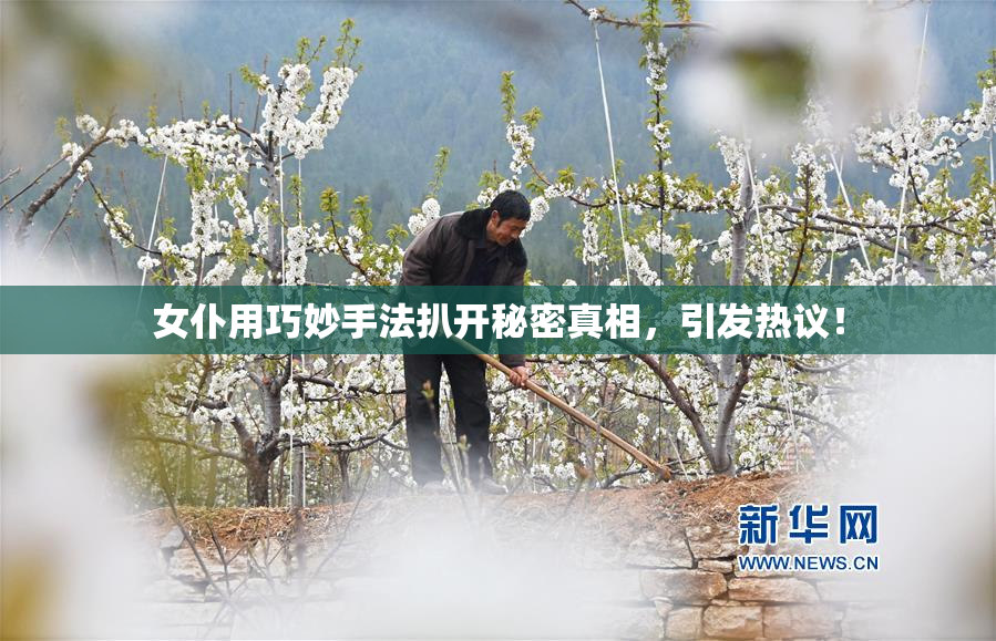 女仆用巧妙手法扒开秘密真相，引发热议！