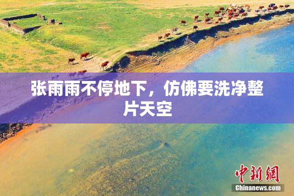 张雨雨不停地下，仿佛要洗净整片天空