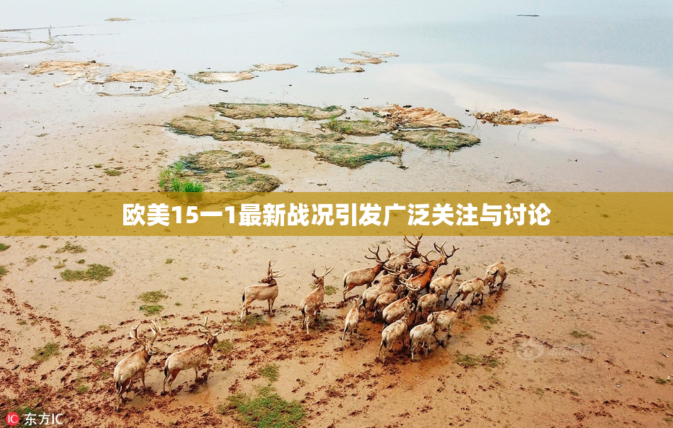 欧美15一1最新战况引发广泛关注与讨论