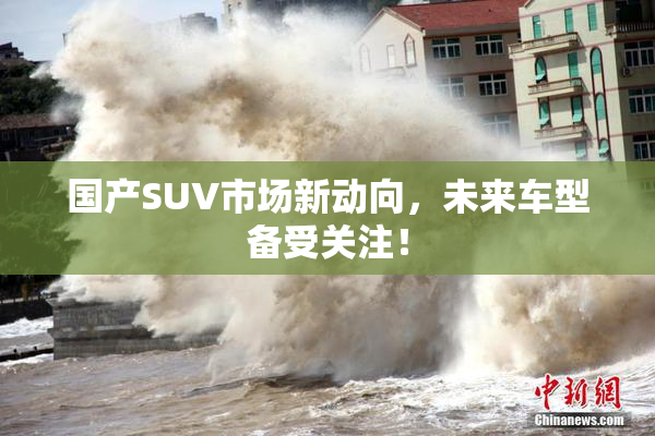 国产SUV市场新动向，未来车型备受关注！