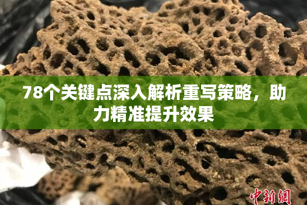 78个关键点深入解析重写策略，助力精准提升效果