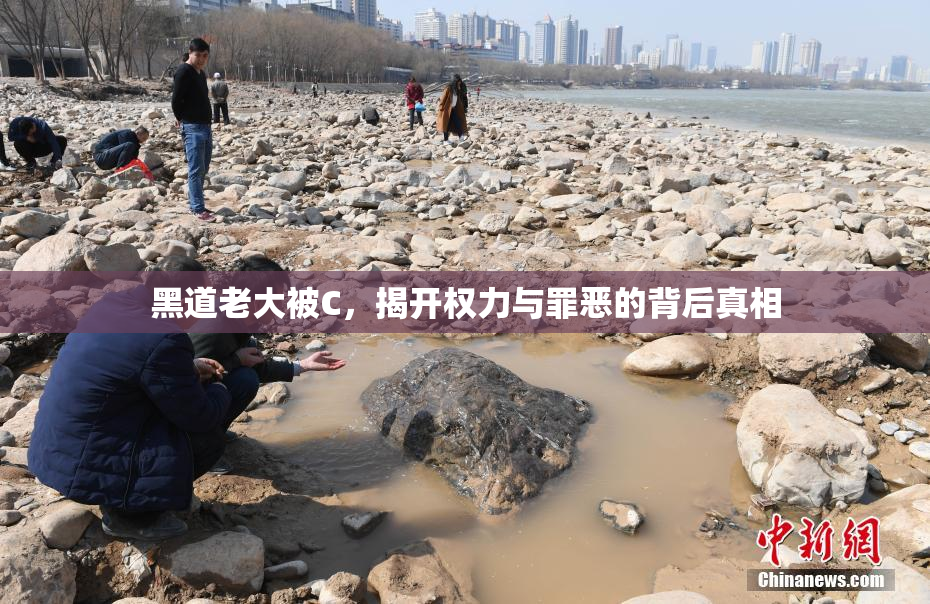 黑道老大被C，揭开权力与罪恶的背后真相