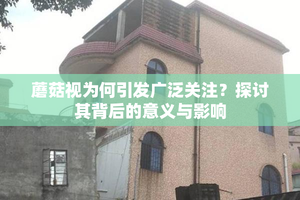 蘑菇视为何引发广泛关注？探讨其背后的意义与影响