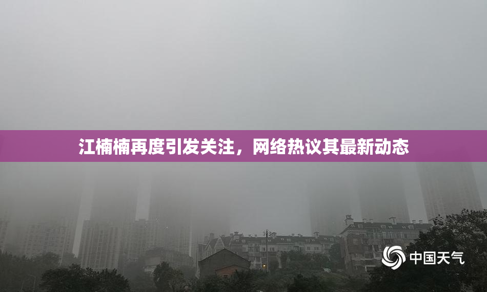 江楠楠再度引发关注，网络热议其最新动态