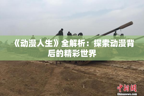 《动漫人生》全解析：探索动漫背后的精彩世界