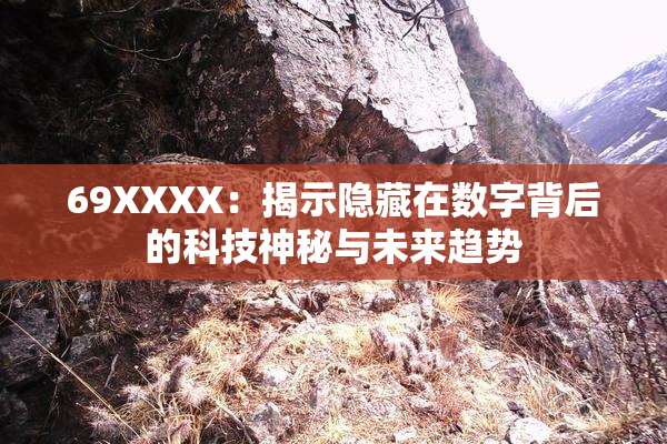 69ΧΧΧΧ：揭示隐藏在数字背后的科技神秘与未来趋势