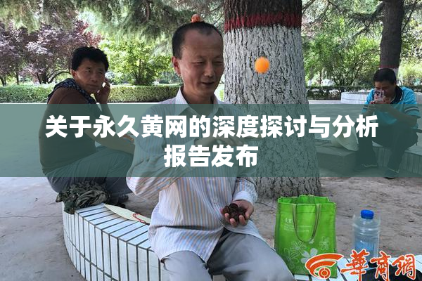 关于永久黄网的深度探讨与分析报告发布