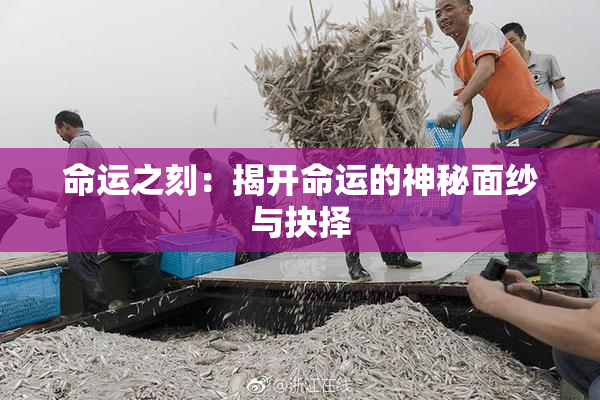 命运之刻：揭开命运的神秘面纱与抉择
