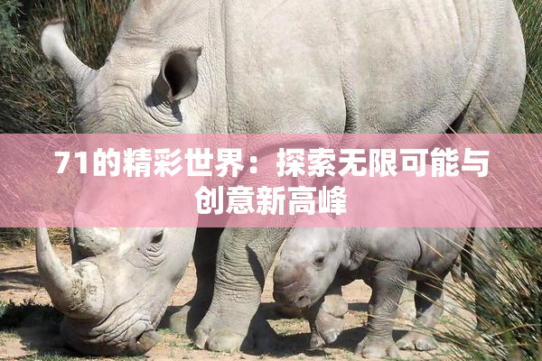 71的精彩世界：探索无限可能与创意新高峰