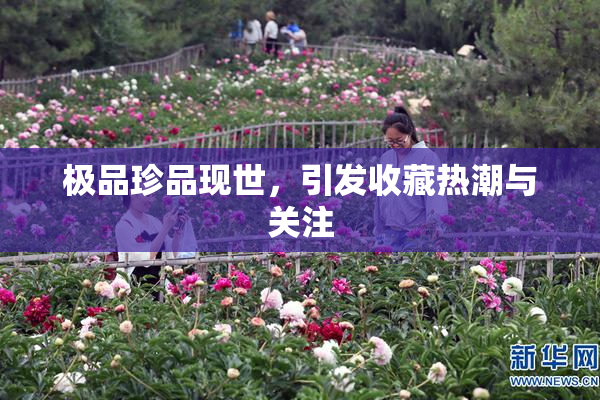 极品珍品现世，引发收藏热潮与关注
