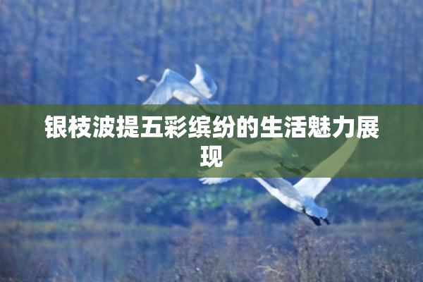 银枝波提五彩缤纷的生活魅力展现