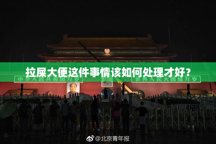 拉屎大便这件事情该如何处理才好？