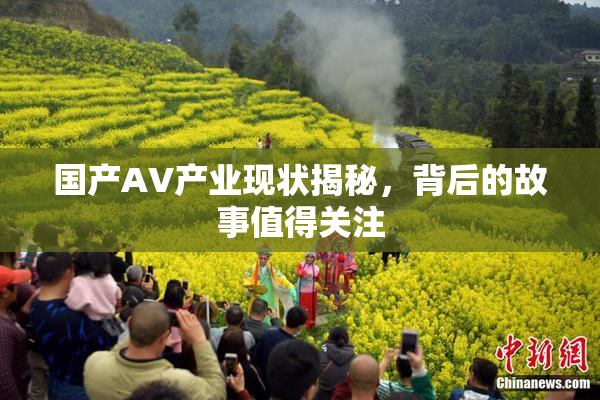国产AV产业现状揭秘，背后的故事值得关注