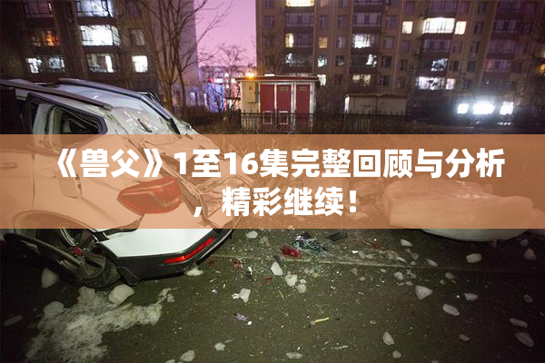 《兽父》1至16集完整回顾与分析，精彩继续！