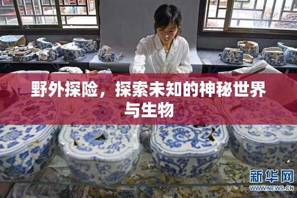 野外探险，探索未知的神秘世界与生物