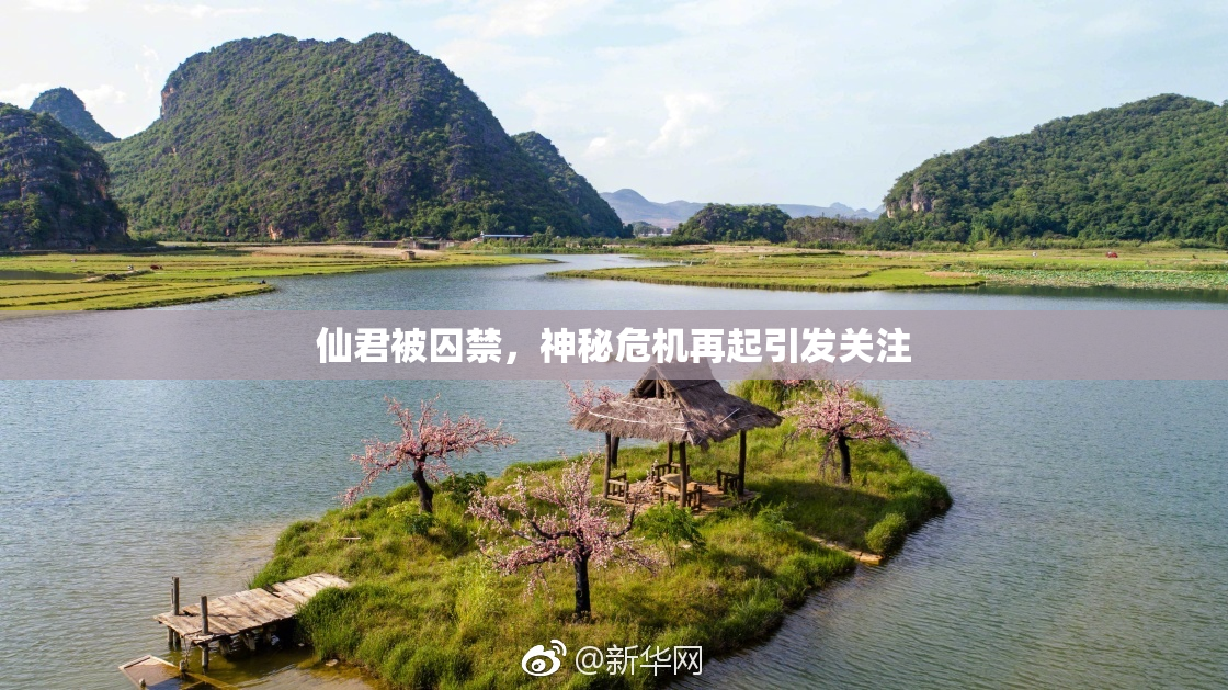 仙君被囚禁，神秘危机再起引发关注