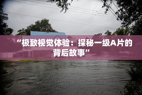 “极致视觉体验：探秘一级A片的背后故事”